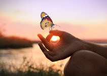 From the Babi Revelation to the Baha’i Faith